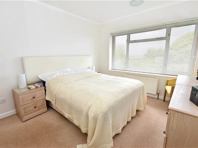 Picture 15